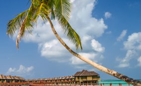 Maldive viaggio atollo coralli barriera reef