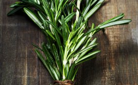 rosmarino piata cucina salute