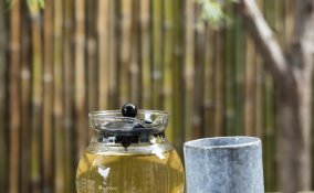 Tè verde proprietà e benefici