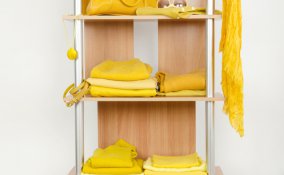 estate, giallo, mimosa