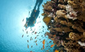 Sharm el Sheikh Egitto viaggi resort Sinai