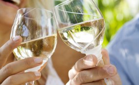 vino alimentazione tavola salute bere