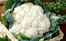 cavolfiore inverno ortaggio verdura