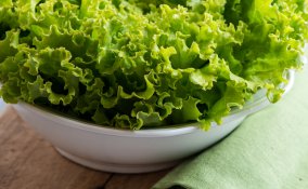 lattuga-verdura-cucina