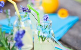 eco party festa risparmio natura 