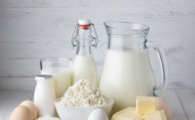 cibi probiotici salute vita