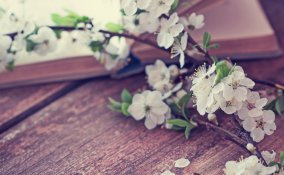 poesia intellettuali benessere