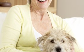 cani, gatti, compagnia, anziani