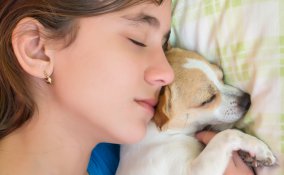 ragazza e cane insieme