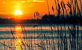 Lago di Bolsena: cosa vedere e cosa fare