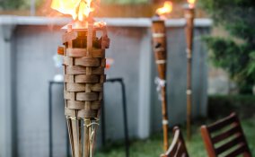 rimedi naturali contro le zanzare