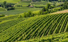 5 destinazioni da sogno in Italia per le tue vacanze a settembre