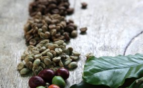 rimedi casalinghi piante concimi naturali