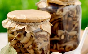 funghi chiodini conserva sale barattolo