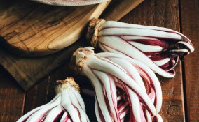 come coltivare il radicchio
