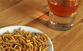 sognare vermi significato