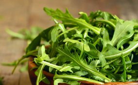 come coltivare la rucola