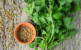 coriandolo proprietà e benefici