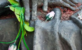 sognare di morire significato