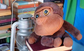 come organizzare la libreria di casa