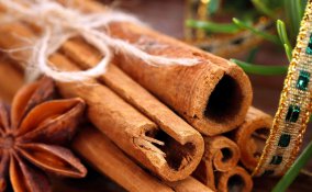 cannela proprietà e utilizzi