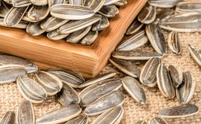 semi di girasole proprietà