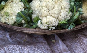 Come coltivare i cavolfiori