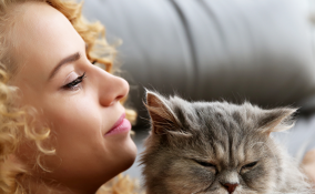 gatto adatto personalità tipo di vita 