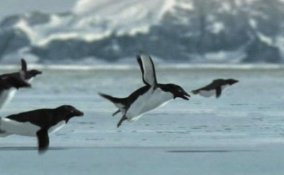 Pesce d'aprile: i 5 scherzi più famosi