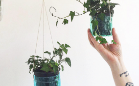 Costruire un giardino verticale in casa utilizzando le bottiglie di plastica