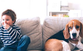 Il divano giusto? 5 aspetti da prendere in considerazione