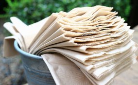 piante freddo, proteggere piante freddo, piante inverno