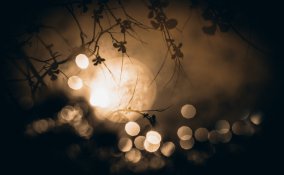 video, zucchero, la tortura della luna