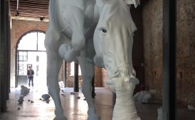 Il problema del cavallo Claudia Fontes