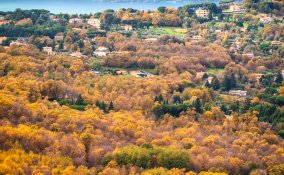 castelli romani roma frascati