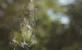 come aggiustare buco zanzariera