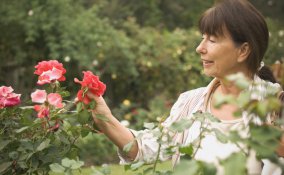 cosa fare tempo libero estate, tempo libero estate