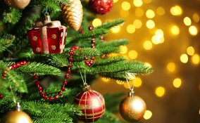 acquisti online, decorazioni natalizie, siti