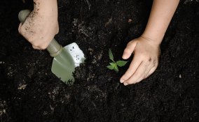 fare giardinaggio con bambini, come coltivare con bambini