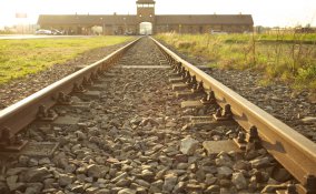 giornata della memoria frasi, 27 gennaio frasi, giorno della memoria frasi, shoah frasi