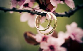 matrimonio, fedi, fiori di arancio