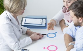 adozione, fecondazione