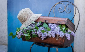 valigia che puzza, cattivo odore valigia 