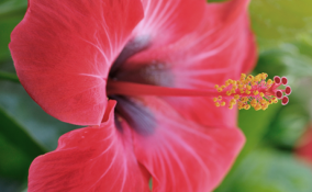 frasi sulla bellezza