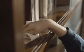 come spolverare libreria