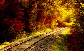 treno foliage 2018, treno foliage percorso, treno foliage date