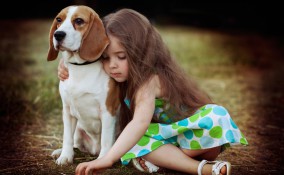 cani taglia media bambini