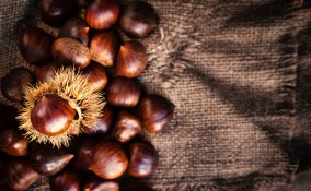 cucinare castagne microonde