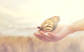 festa dei morti frasi, frasi defunti