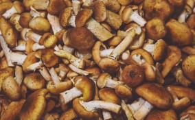 come pulire funghi chiodini